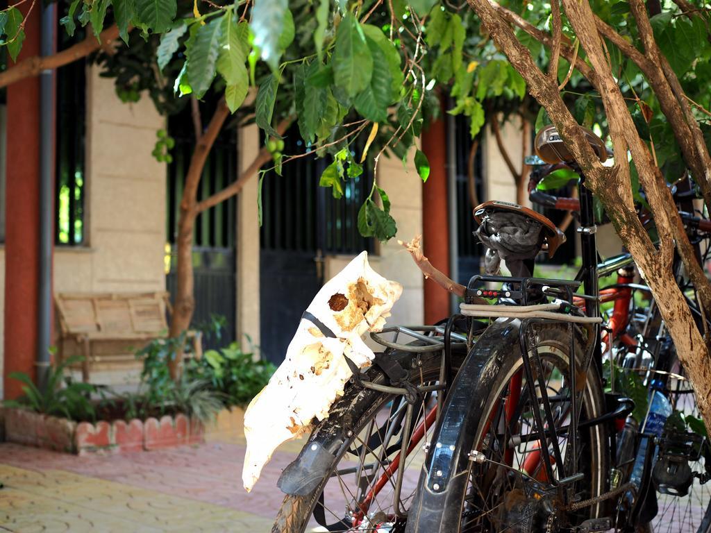Manuhie Backpackers Lodge Baher Dar Chambre photo